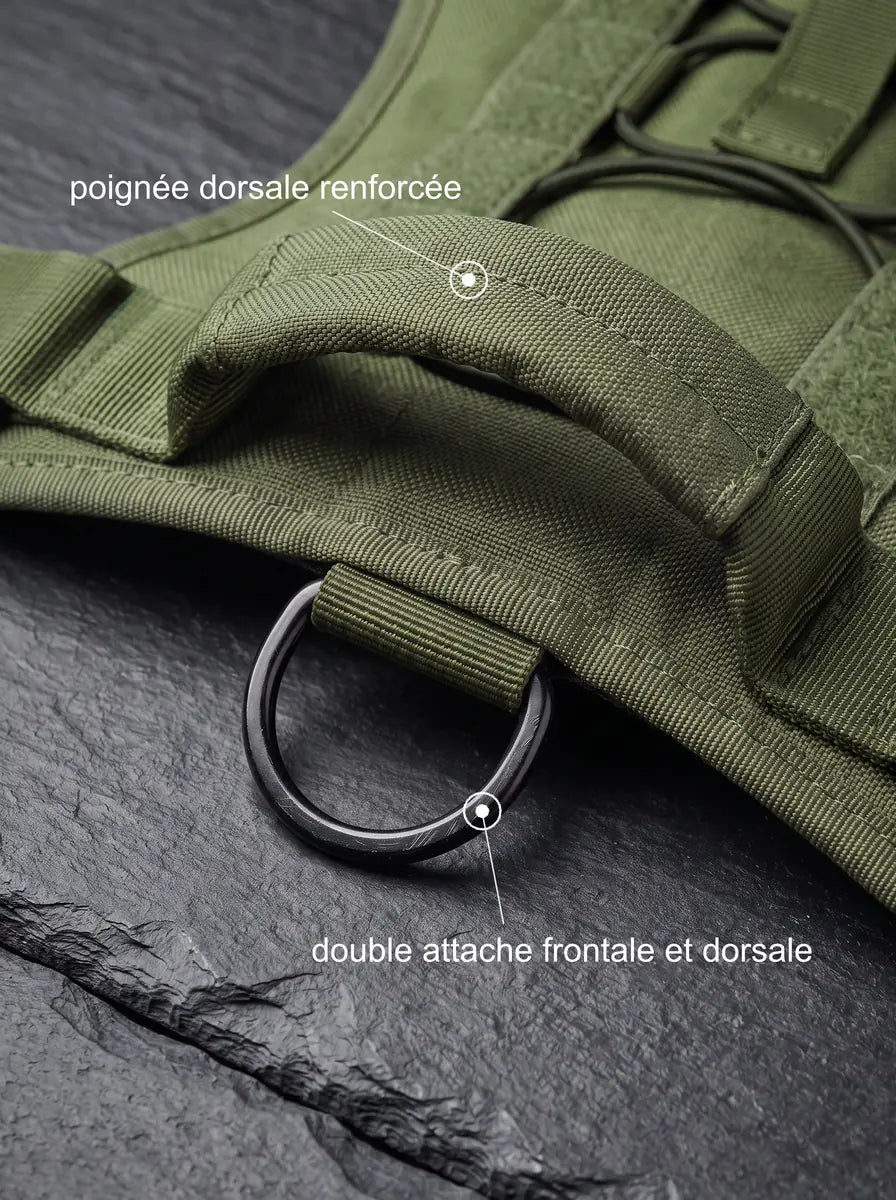 Harnais Militaire Tactique Chien | KARN Field