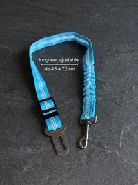 Adaptateur Ceinture Sécurité Chien | KARN Safe