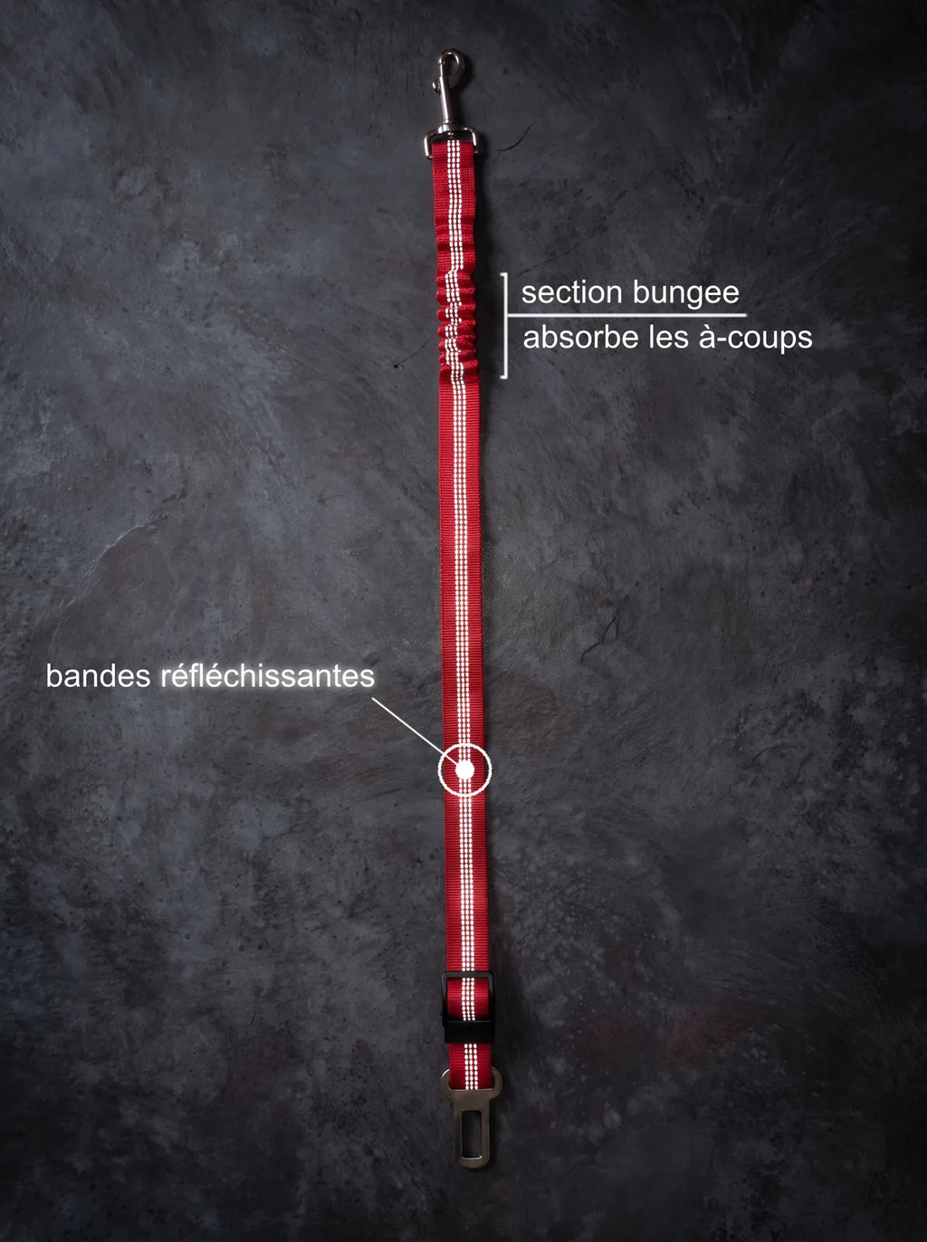 Adaptateur Ceinture Sécurité Chien | KARN Safe