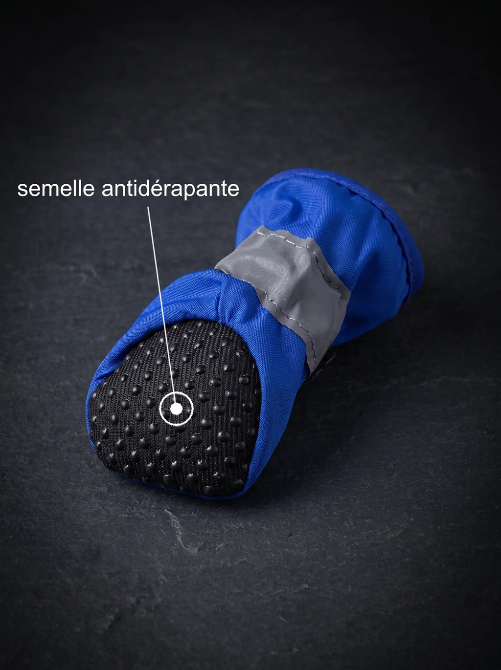 Chaussure pour chien avec semelle antidérapante 