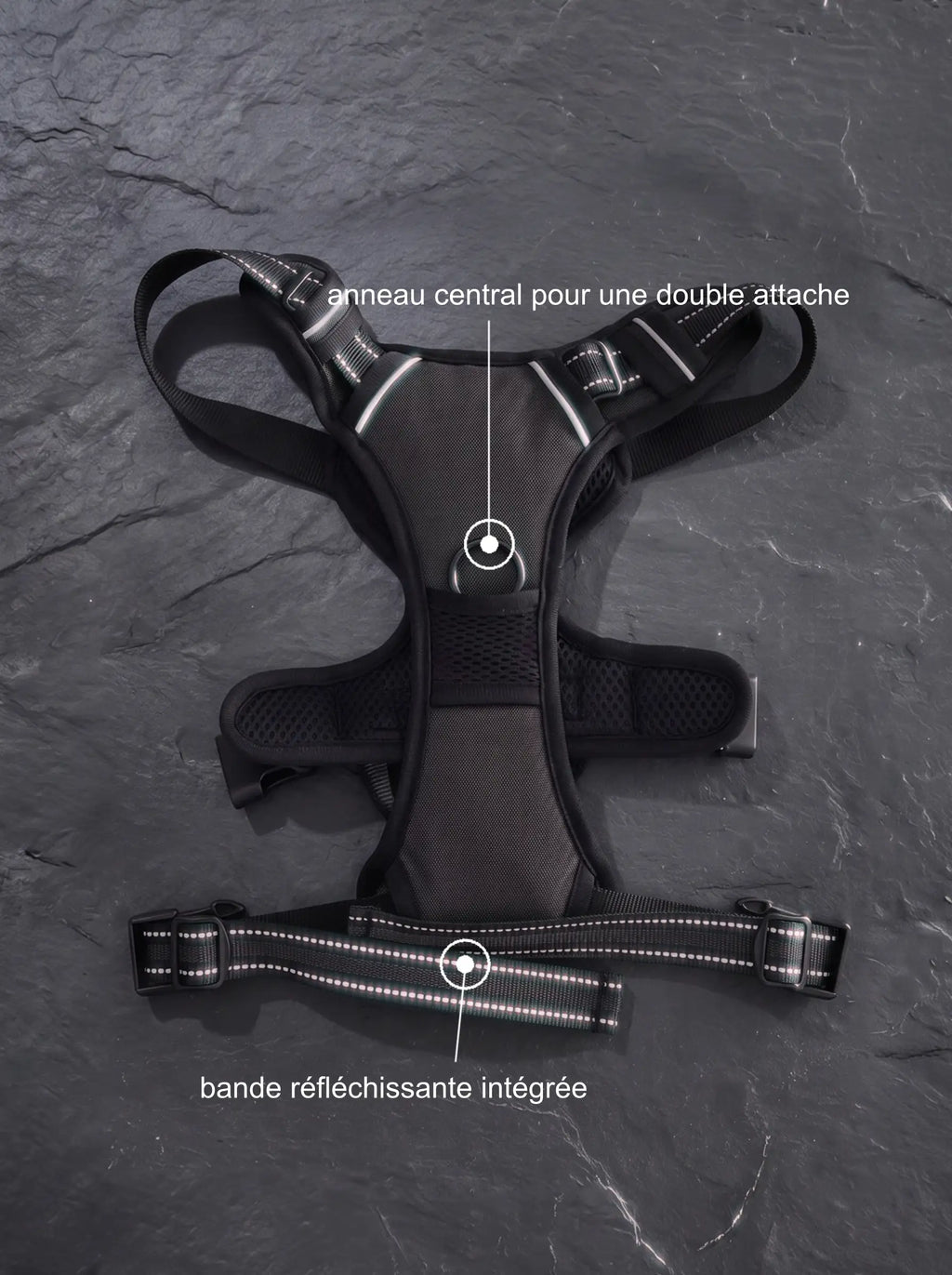 Harnais anti-traction chien double attache coloris noir KARN Force