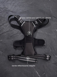 Harnais anti-traction chien double attache coloris noir KARN Force