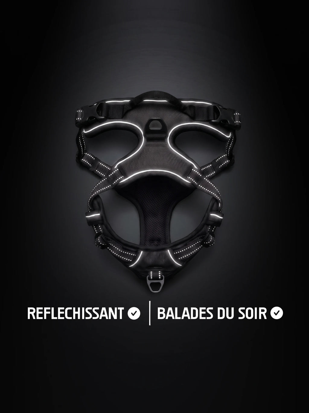 Harnais anti-traction chien noir avec bandes réfléchissantes qui brillent sous la lumière, pour les balades du soir