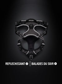 Harnais anti-traction chien noir avec bandes réfléchissantes qui brillent sous la lumière, pour les balades du soir