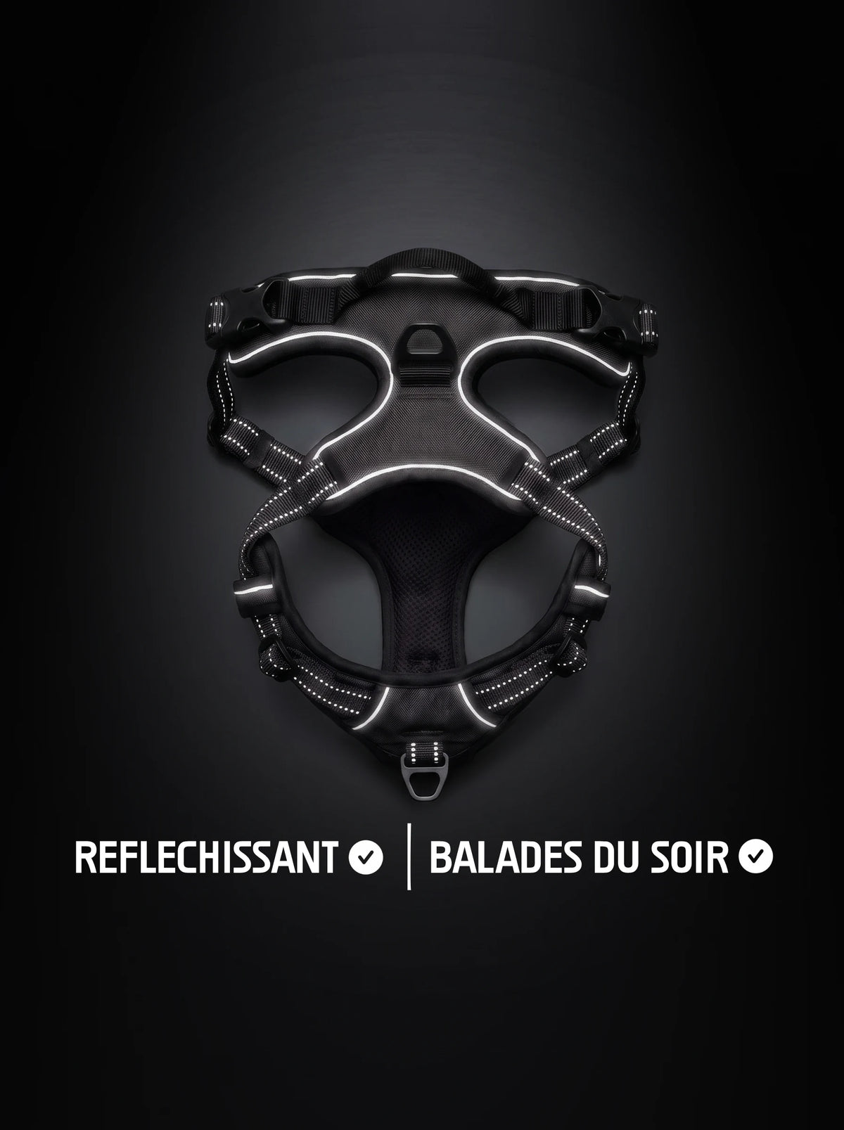 Harnais anti-traction chien noir avec bandes réfléchissantes qui brillent sous la lumière, pour les balades du soir