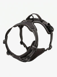 Harnais anti-traction chien coloris noir