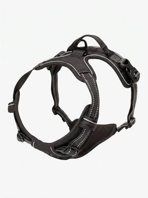 Harnais anti-traction chien coloris noir