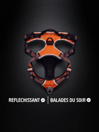 Harnais anti-traction chien orange et noir avec bandes réfléchissantes qui brillent sous la lumière, pour les balades du soir