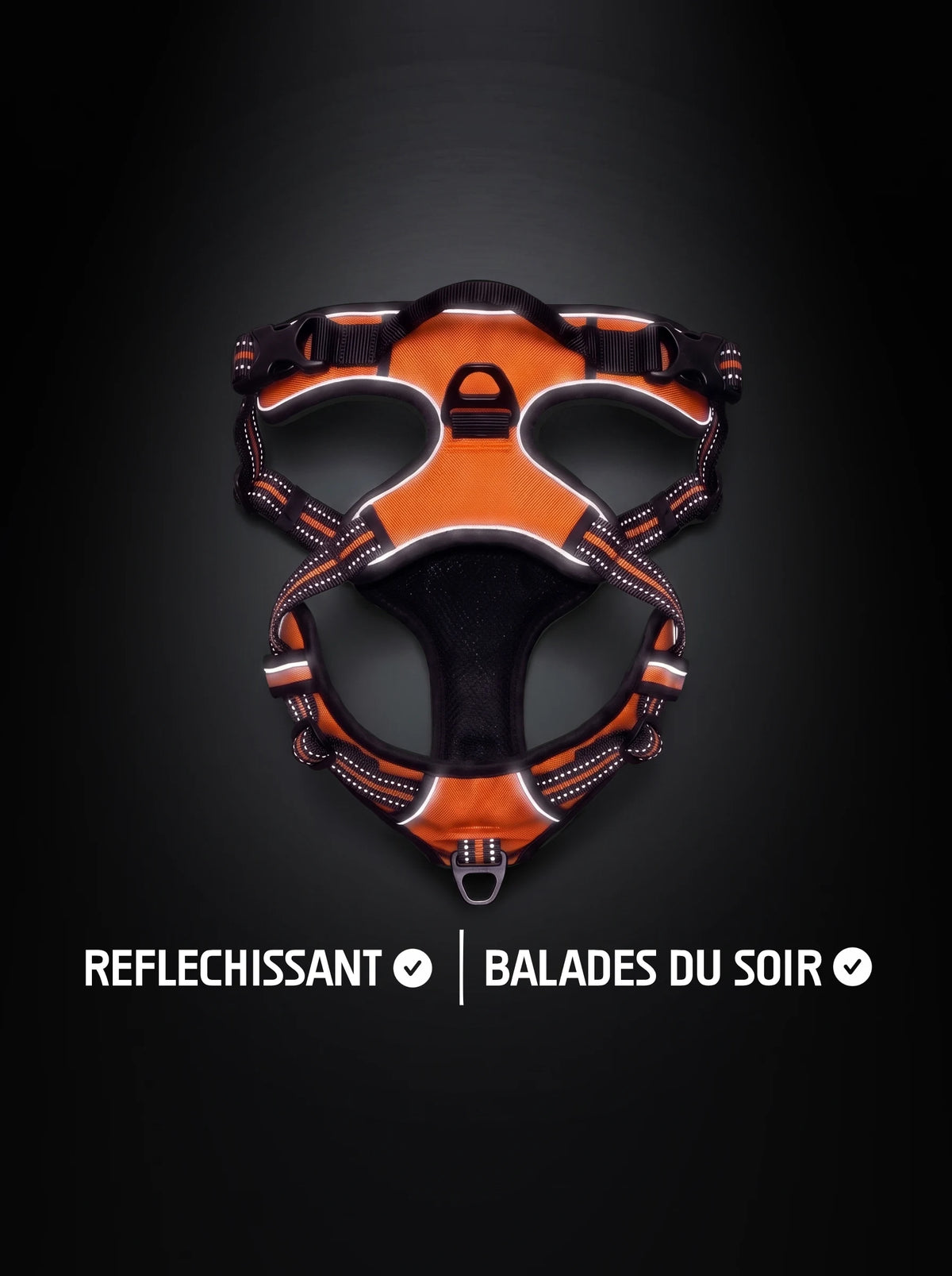 Harnais anti-traction chien orange et noir avec bandes réfléchissantes qui brillent sous la lumière, pour les balades du soir