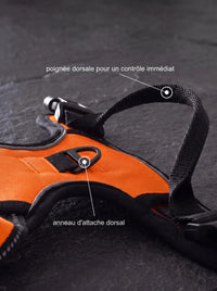 Harnais Anti-Traction Chien | KARN Force Orange