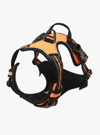 Harnais anti-traction chien coloris orange