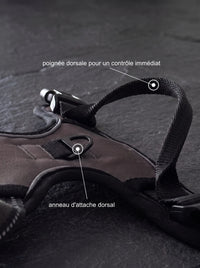 Harnais Anti-Traction Chien | KARN Force