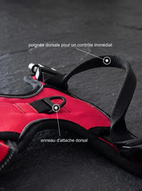 Harnais anti-traction chien poignée et anneau dorsal coloris rouge KARN Force