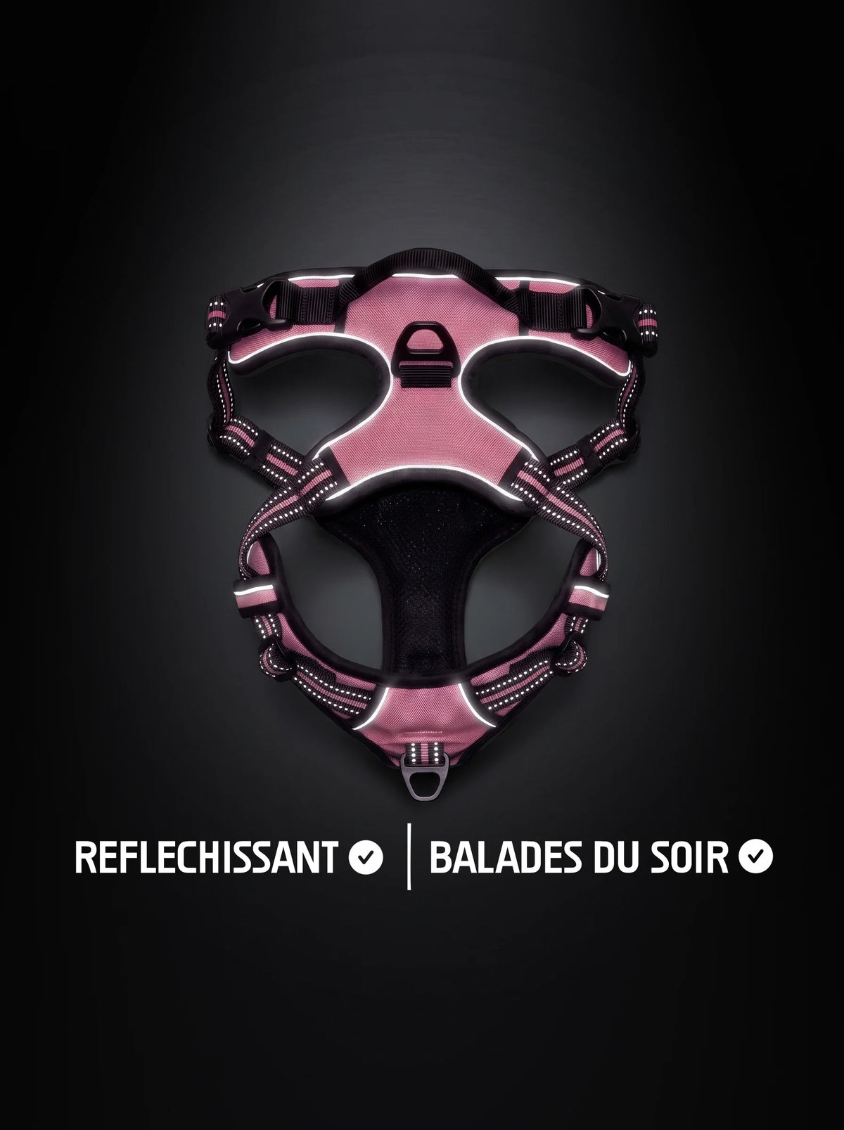 Harnais anti-traction chien rose et noir avec bandes réfléchissantes qui brillent sous la lumière, pour les balades du soir