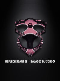 Harnais anti-traction chien rose et noir avec bandes réfléchissantes qui brillent sous la lumière, pour les balades du soir