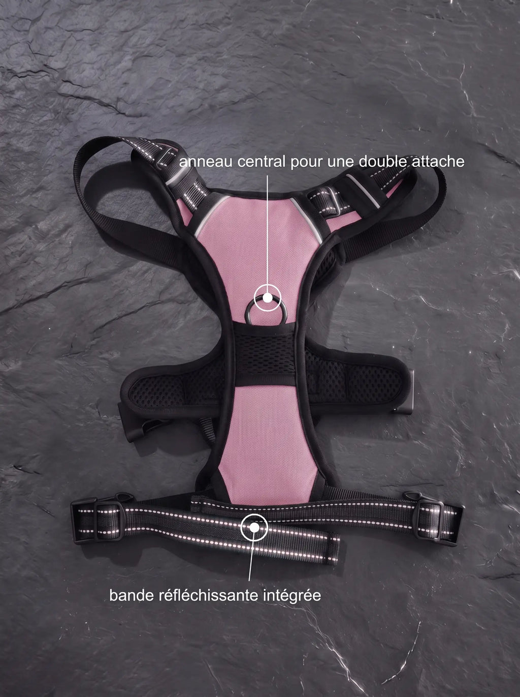 Harnais Anti-Traction Chien | KARN Force Rose