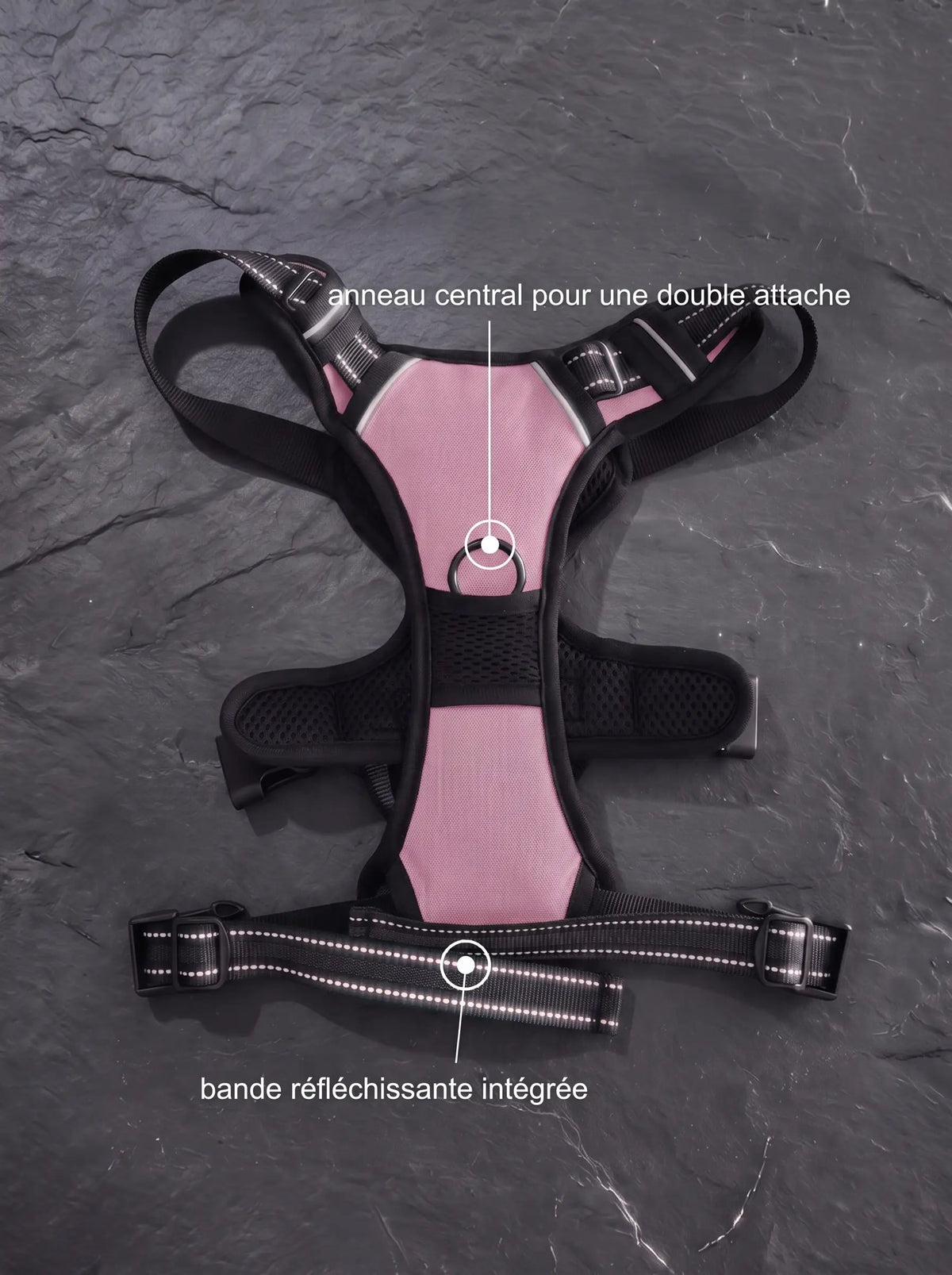 Harnais Anti-Traction Chien | KARN Force Rose