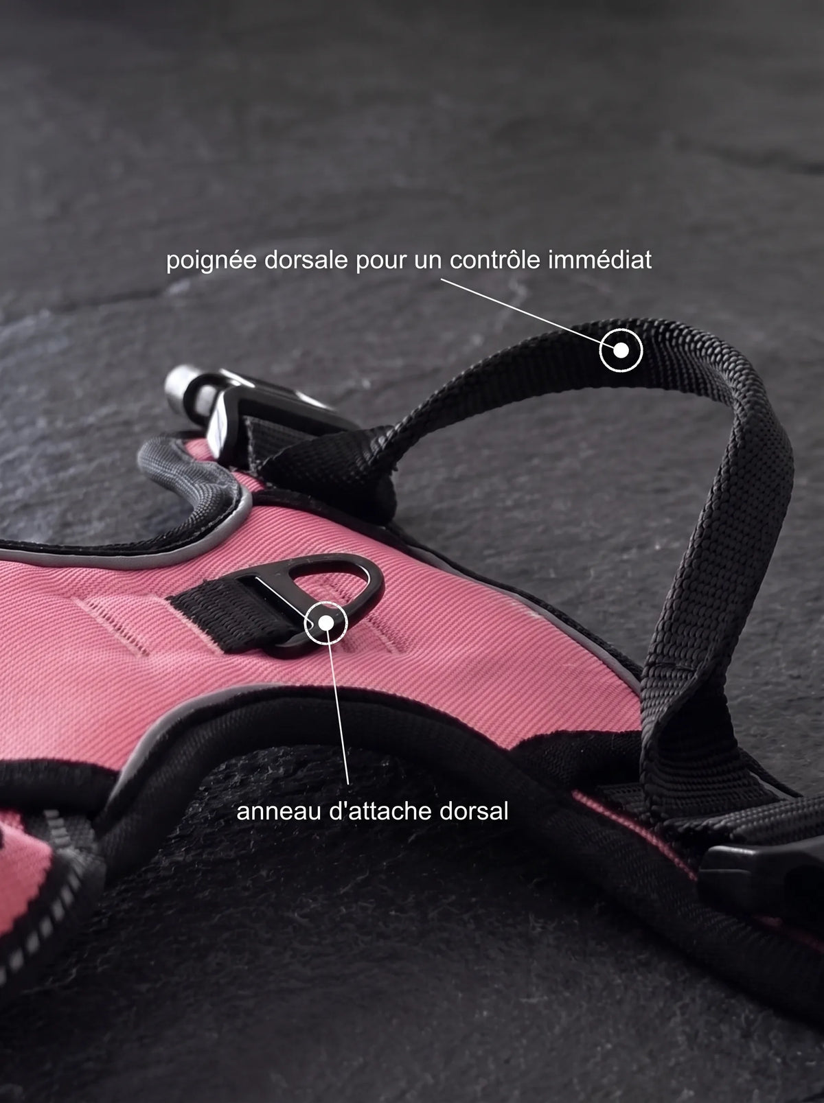 Harnais Anti-Traction Chien | KARN Force Rose