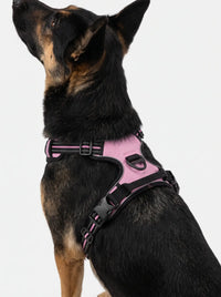 Harnais Anti-Traction Chien | KARN Force Rose