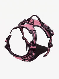Harnais Anti-Traction Chien | KARN Force Rose