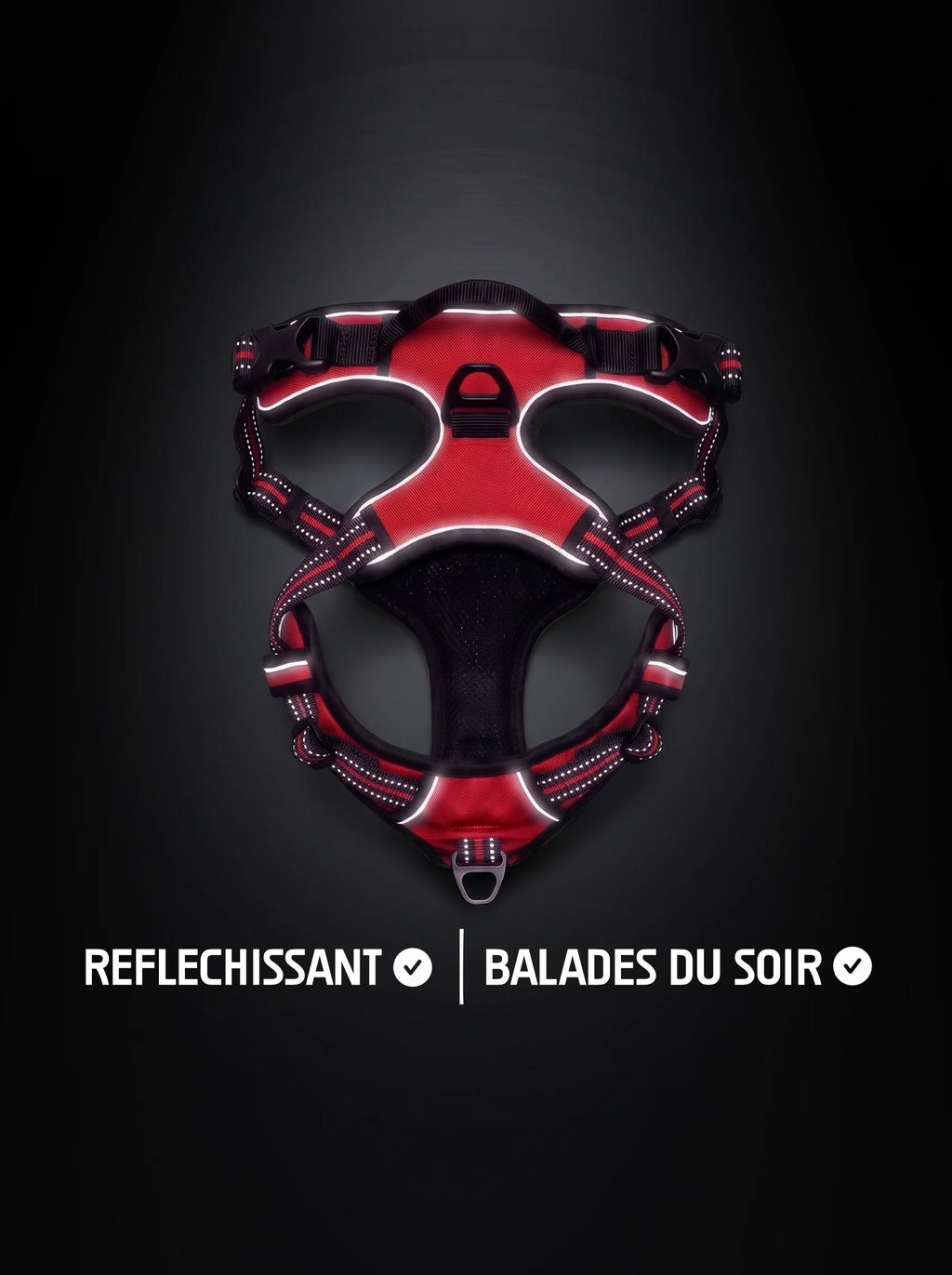Harnais anti-traction chien rouge et noir avec bandes réfléchissantes qui brillent sous la lumière, pour les balades du soir
