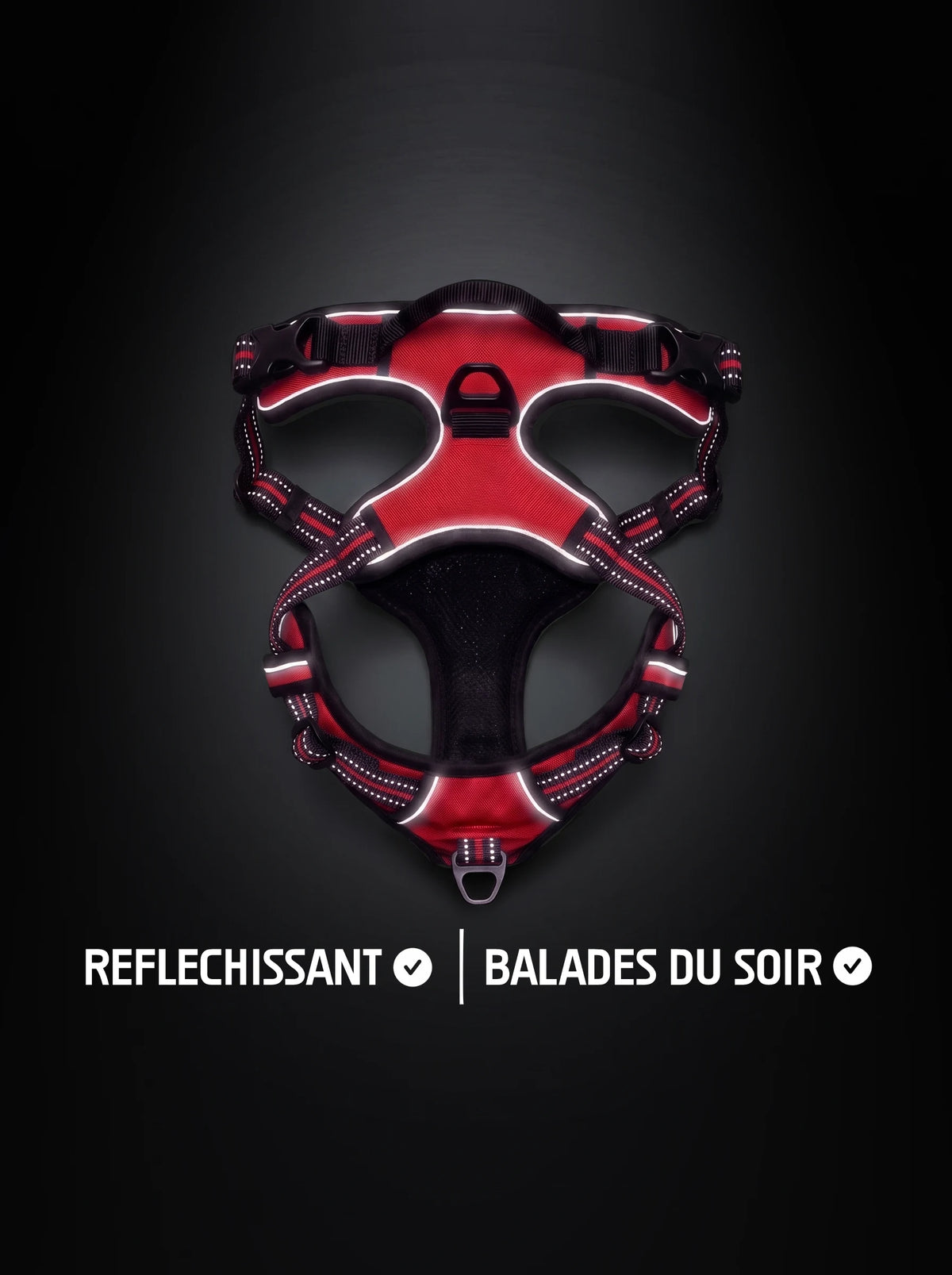 Harnais anti-traction chien rouge et noir avec bandes réfléchissantes qui brillent sous la lumière, pour les balades du soir