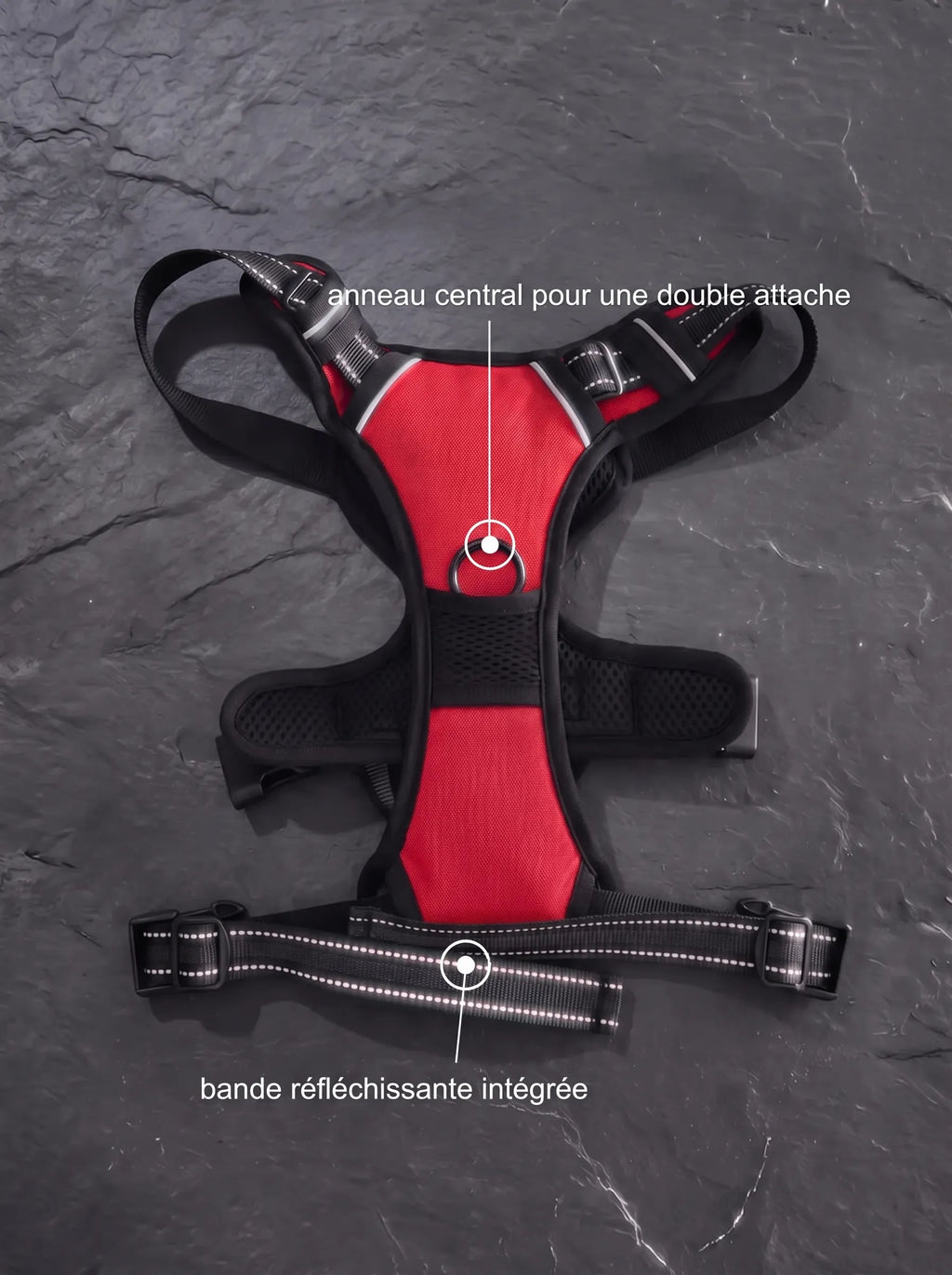 Harnais Anti-Traction Chien | KARN Force Rouge