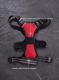 Harnais Anti-Traction Chien | KARN Force Rouge