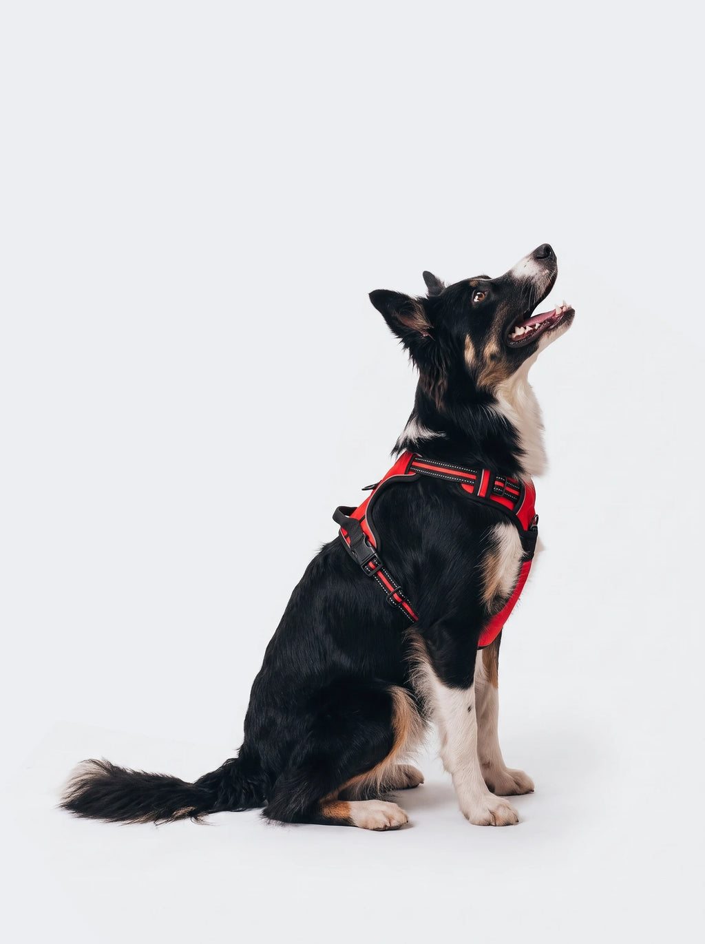 Harnais Anti-Traction Chien | KARN Force Rouge