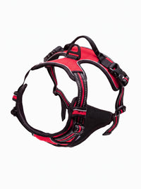 Harnais anti-traction chien coloris rouge