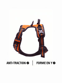 Harnais anti-traction et forme en Y pour chien KARN Force orange, vue de trois quarts avec poignée dorsale, anneau d'attache et bandes réfléchissantes