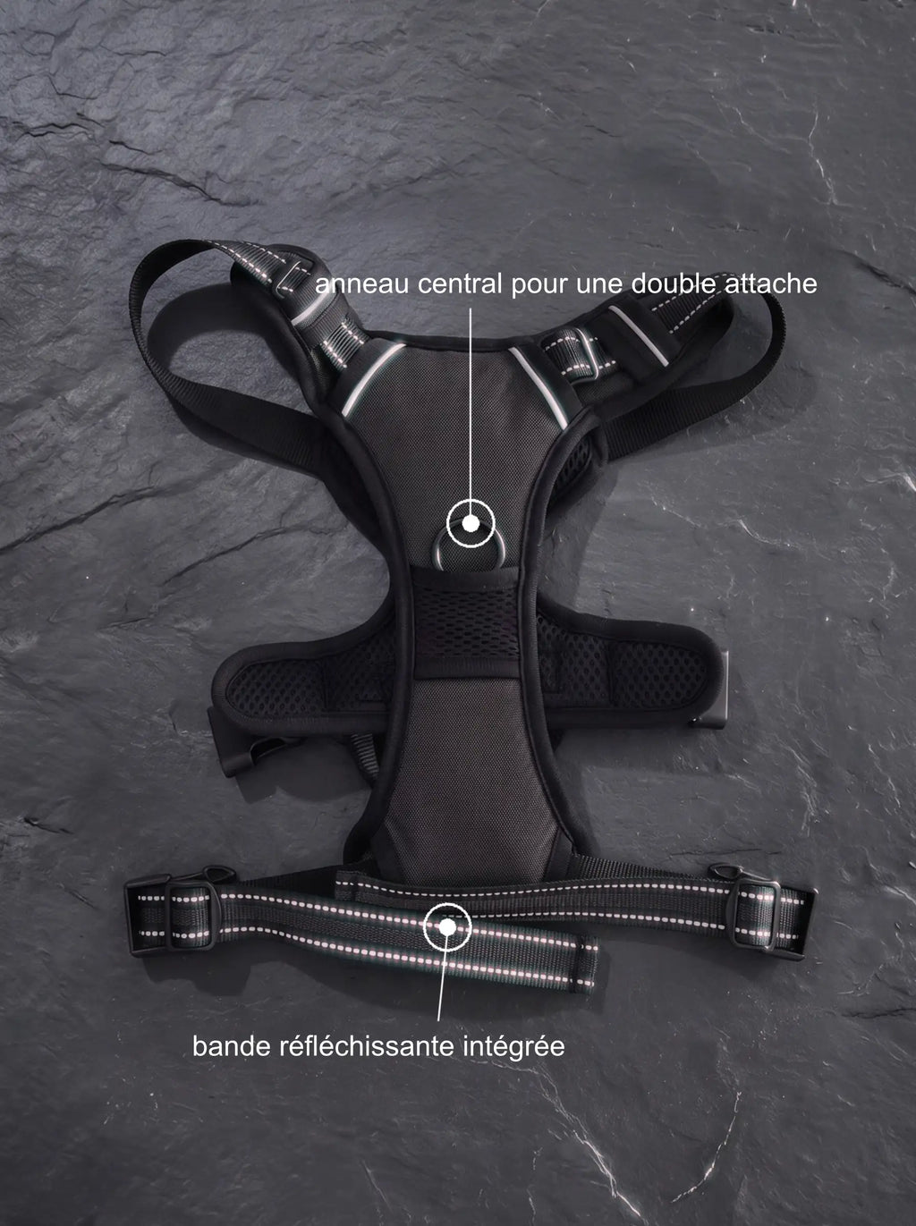 Harnais Anti-Traction Chien | KARN Force