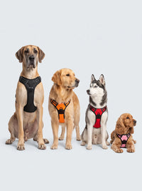 Harnais Anti-Traction Chien | KARN Force Orange