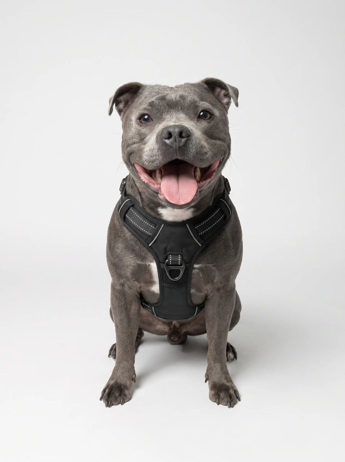 Harnais Anti-Traction Chien | KARN Force