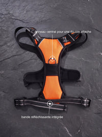 Harnais Anti-Traction Chien | KARN Force Orange