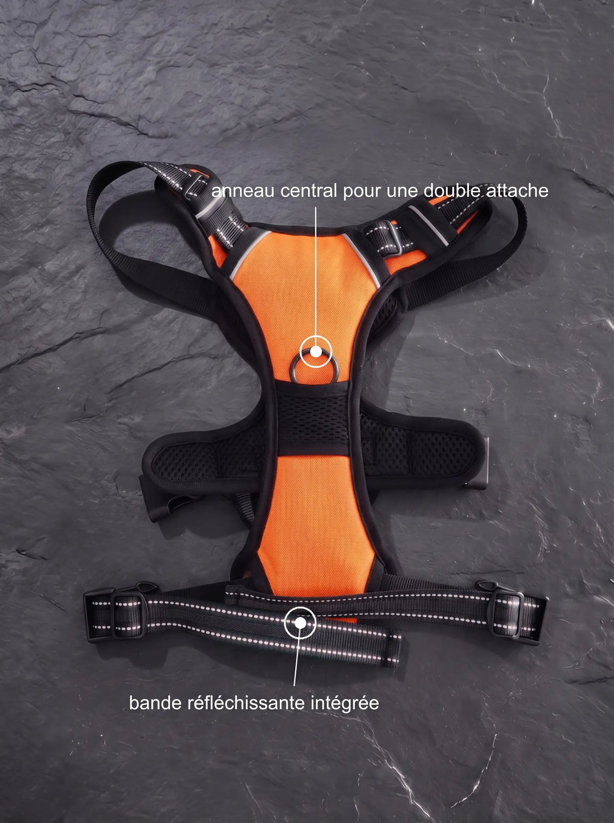 Harnais Anti-Traction Chien | KARN Force Orange