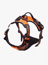 Harnais Anti-Traction Chien Orange | KARN Force