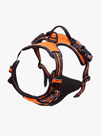 Harnais Anti-Traction Chien | KARN Force Orange