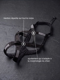 Harnais Canicross Chien | KARN Canicross
