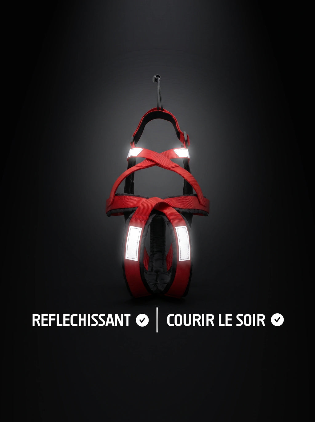 Harnais canicross chien rouge et noir avec bandes réfléchissantes qui brillent sous la lumière, pour courir le soir
