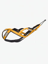 Harnais Canicross Chien Jaune | KARN Canicross
