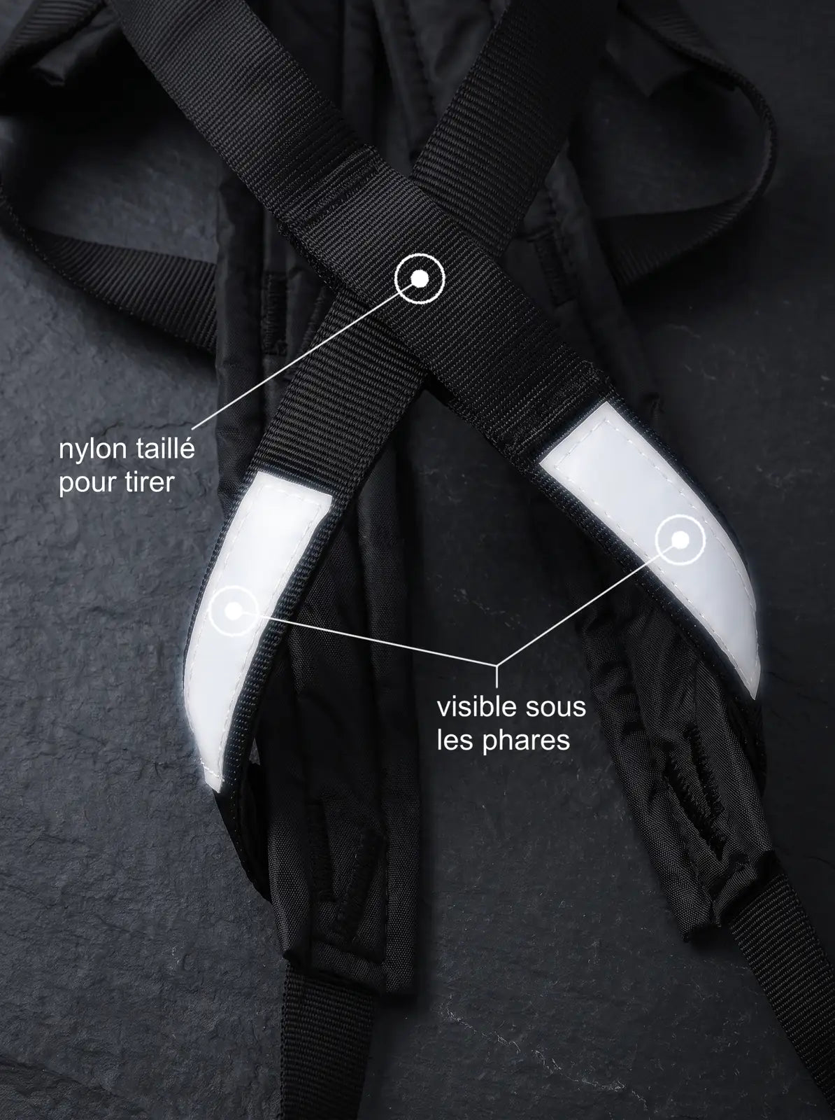 Harnais Chien de Course | KARN Canicross