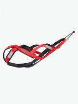 Harnais Canicross Chien Rouge | KARN Canicross