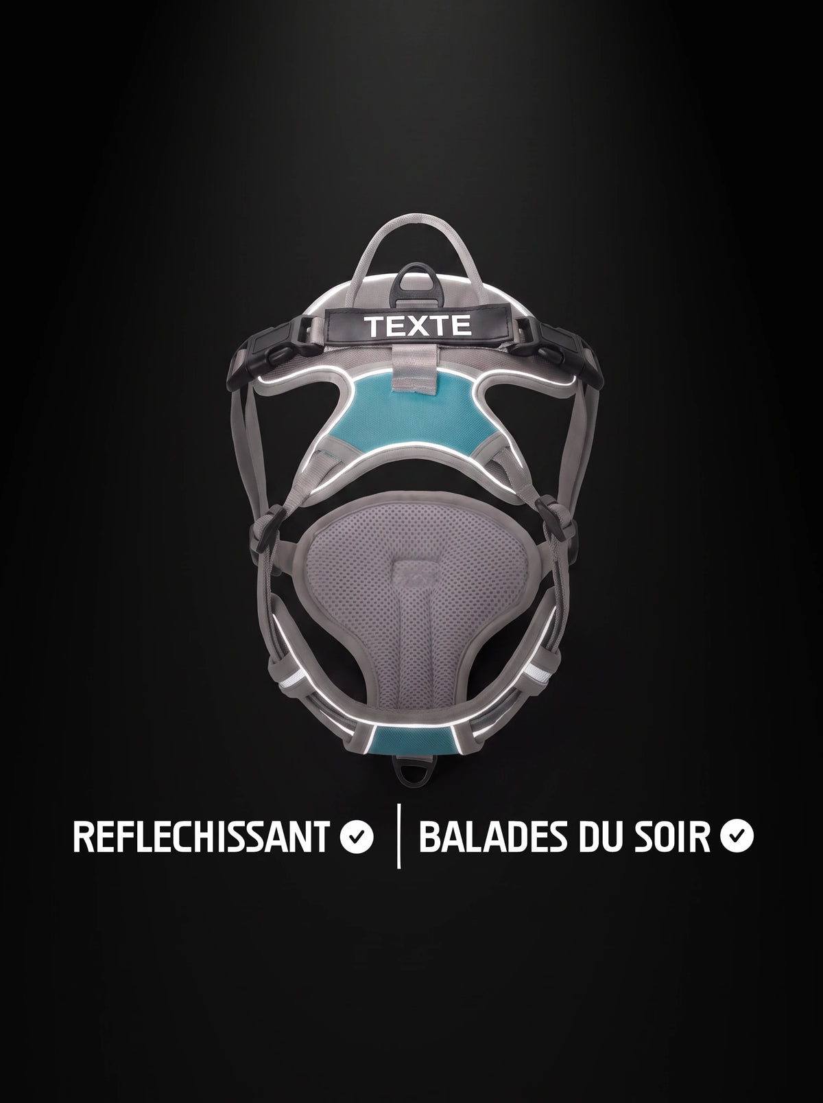 Harnais chien personnalisé gris et bleu avec bandes réfléchissantes qui brillent sous la lumière, pour les balades du soir
