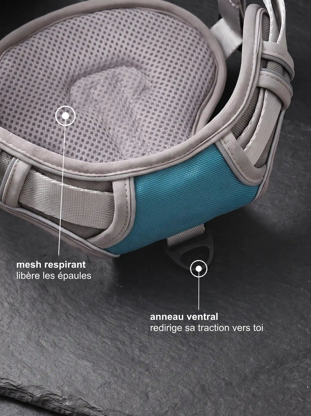 Détail mesh respirant et anneau ventral anti-traction du harnais chien gris