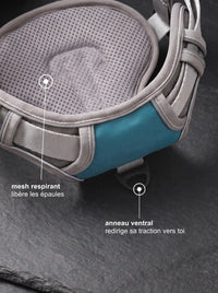 Détail mesh respirant et anneau ventral anti-traction du harnais chien gris
