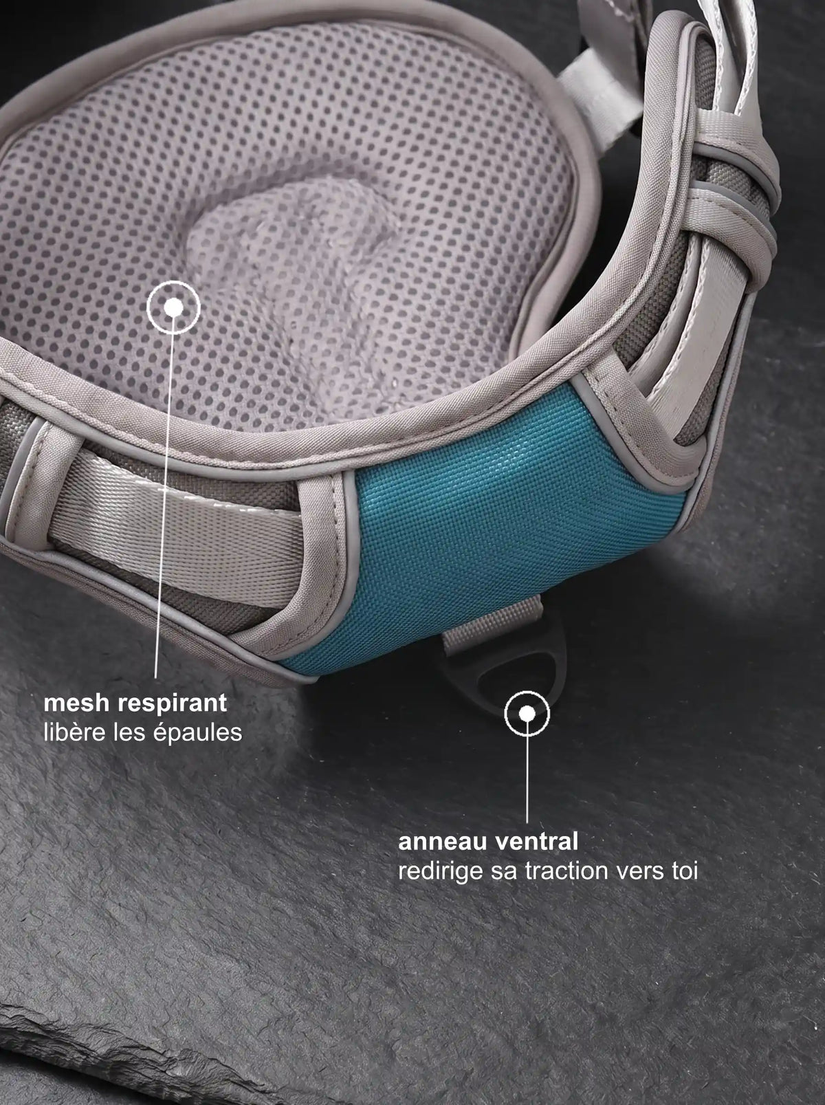Détail mesh respirant et anneau ventral anti-traction du harnais chien gris