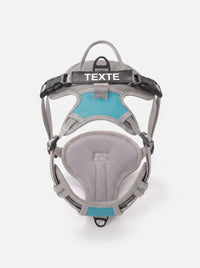 harnais personnalisé, chien bleu et gris, harnais anti-traction KARN Trace avec patch velcro personnalisable