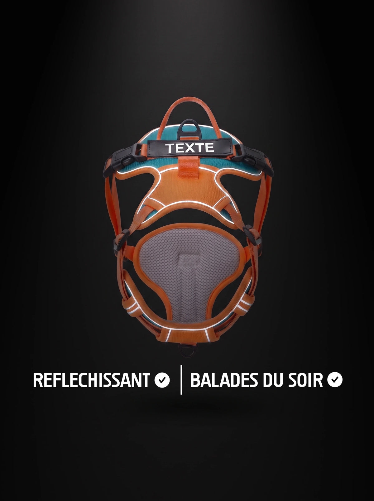 Harnais chien personnalisé orange et bleu avec bandes réfléchissantes qui brillent sous la lumière, pour les balades du soir