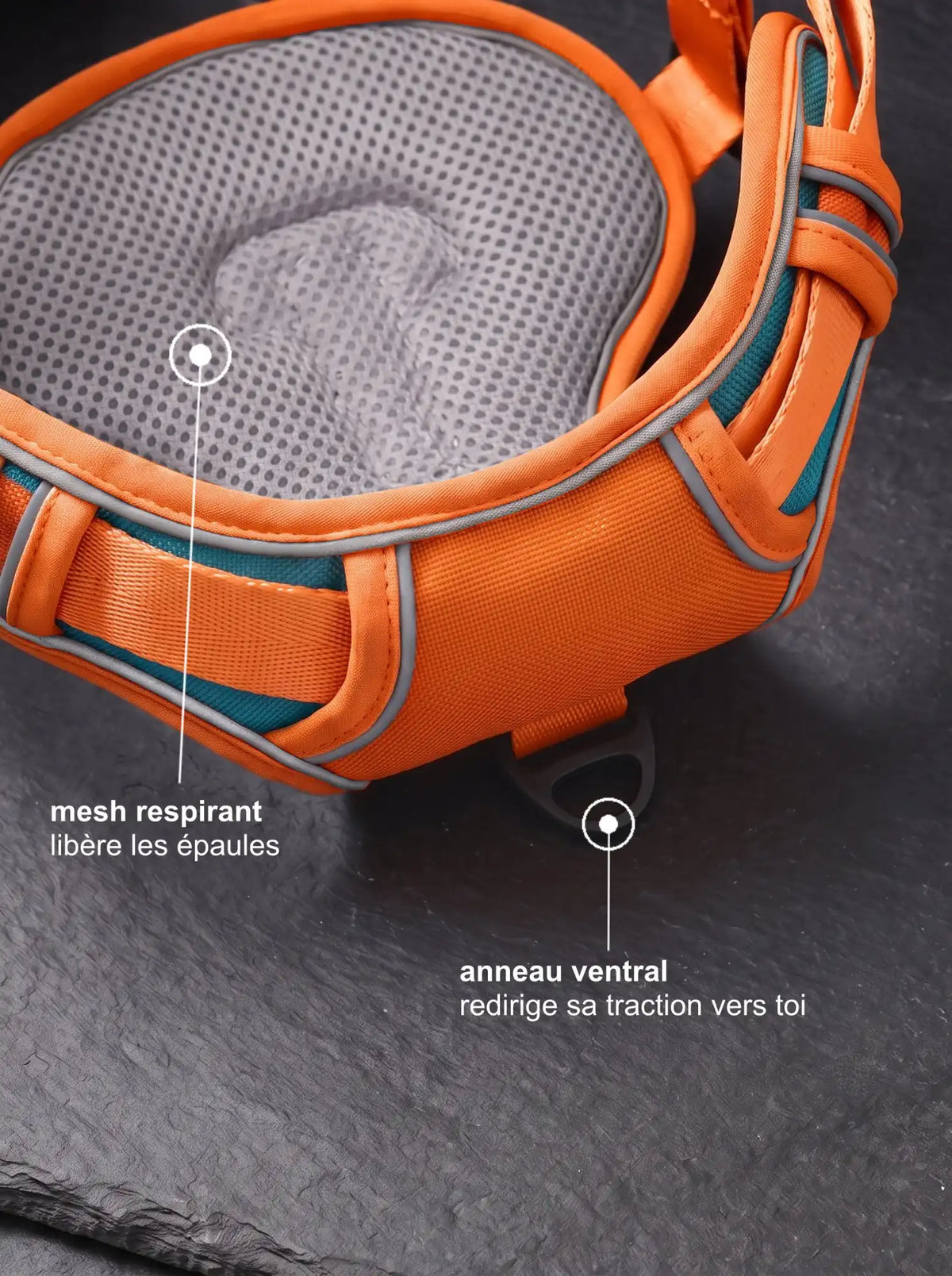 Détail mesh respirant et anneau ventral anti-traction du harnais chien orange